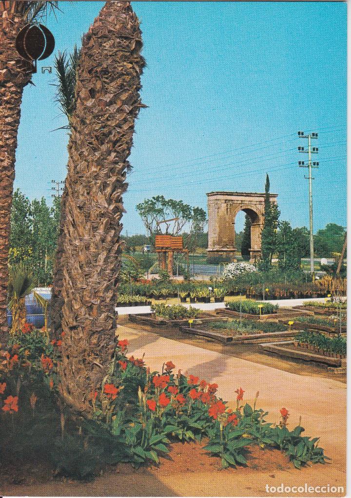 Postales: RODA DE BARA (TATTAGONA) GARDEN CENTER &ndash; CAMPA&Ntilde;A 198 &ndash; S/C