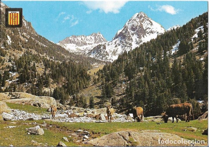 Postales: POSTAL BOHI (LERIDA) - SIN ESCRIBIR
