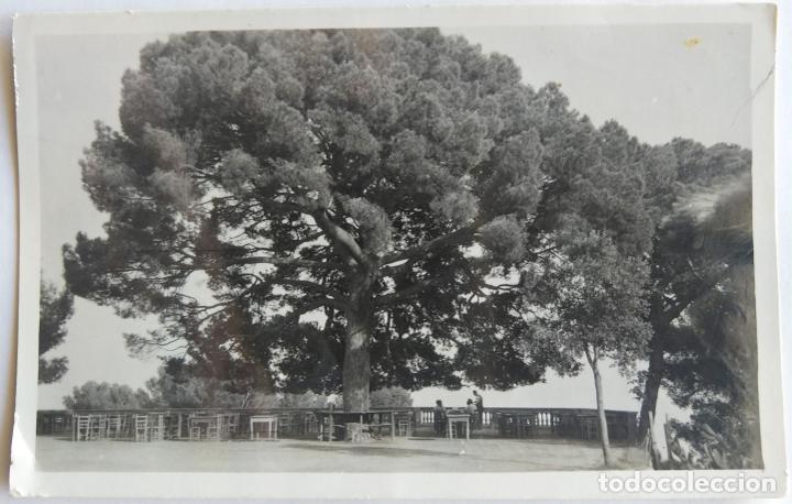Postales: LLORET DE MAR EL PI GROS - Foto 1