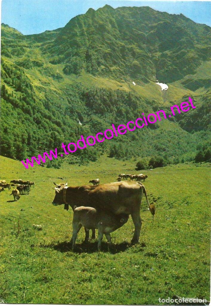 Postales: VALL D'ARAN - ARTIGA DE LIN (POSTAL SIN CIRCULAR) - A&Ntilde;O 1970 APROX.