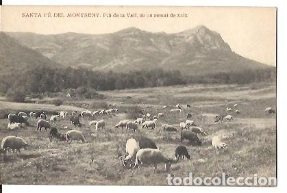 Postkarten: ANTIGUA POSTAL SANTA FE DEL MONTSENY PLA DE LA VALL UN REMAT DE XAI EDICIO LLUIS ESPA&Ntilde;OL CIA