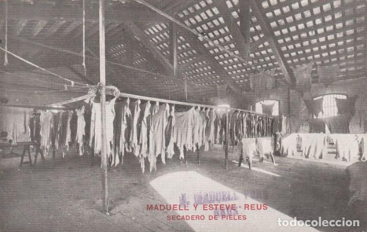 Postais: POSTAL PUBLICITARIA DE REUS - SECADERO DE PIELES MADUELL Y ESTEVE