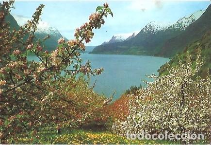 Postais: POSTAL A COLOR C y Z 7788 A