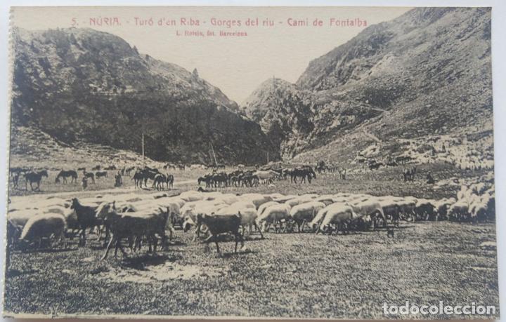 Postales: NURIA 5 ROISIN - Foto 1
