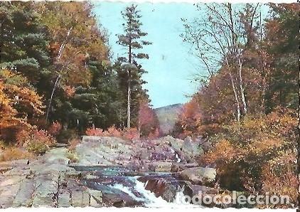 Postales: POSTAL A COLOR C y Z 6243 1961