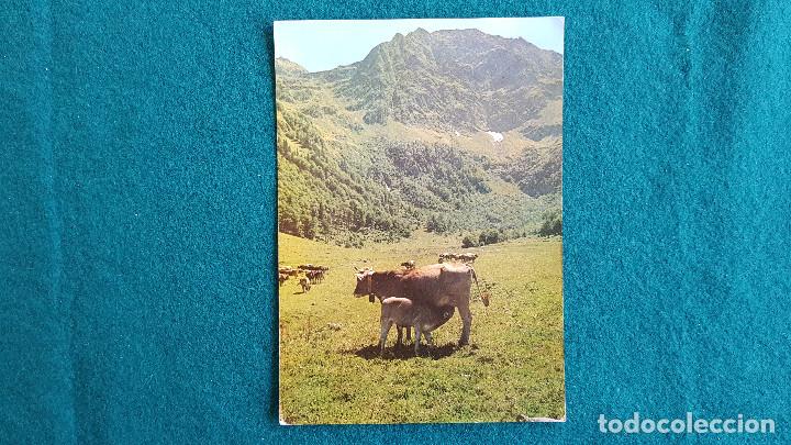 Postales: POSTAL VALLE D ARAN - ARTIGA DE LIN - LERIDA