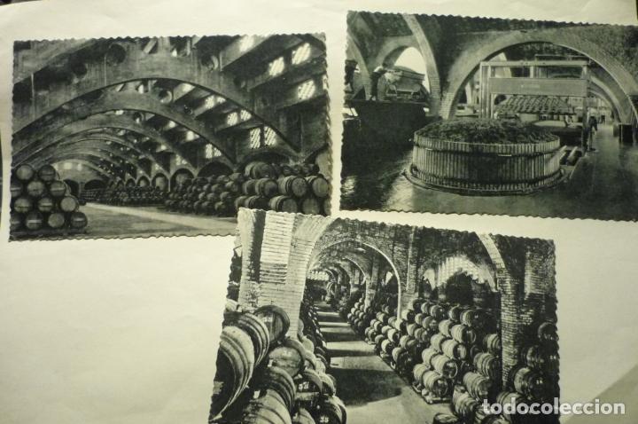 Postales: lote postales casa codorniu -- s.sadurni de noya cava cm