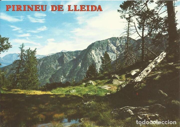Postales: Pirineu de Lleida. 3671. Vall d'Aran. Aiguamoix. 10,5x15 cm. Postal.