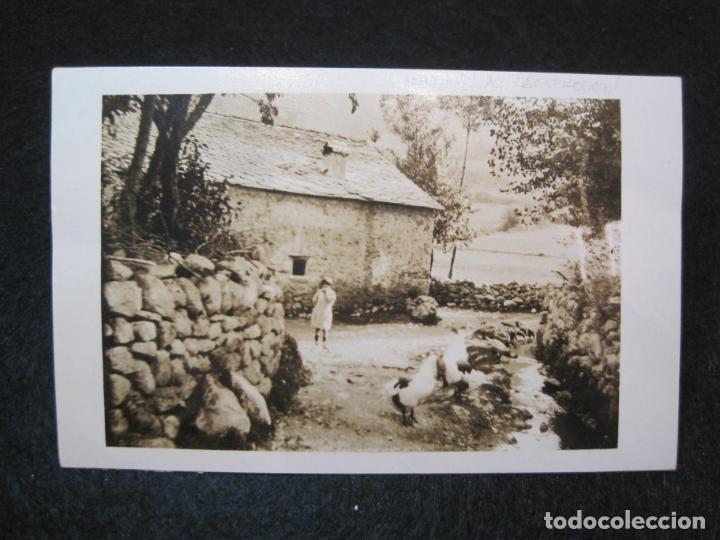 Postales: VOLTANTS DE CAMPRODON-FOTOGRAFICA-POSTAL ANTIGUA-(80.834)
