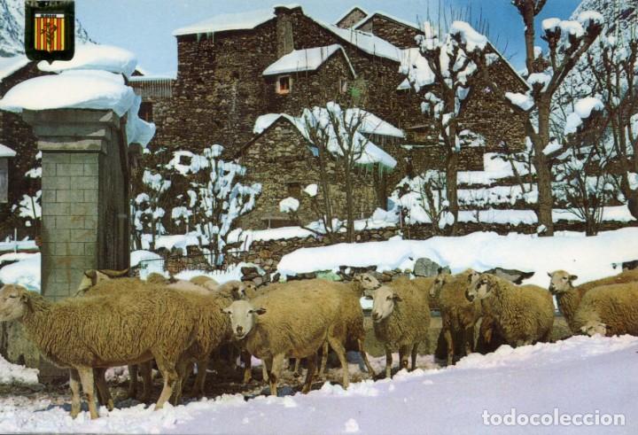 Postcards: m03067 Boi Rincon Tipico 1971 Escudo De Oro N&ordm;342 ovejas