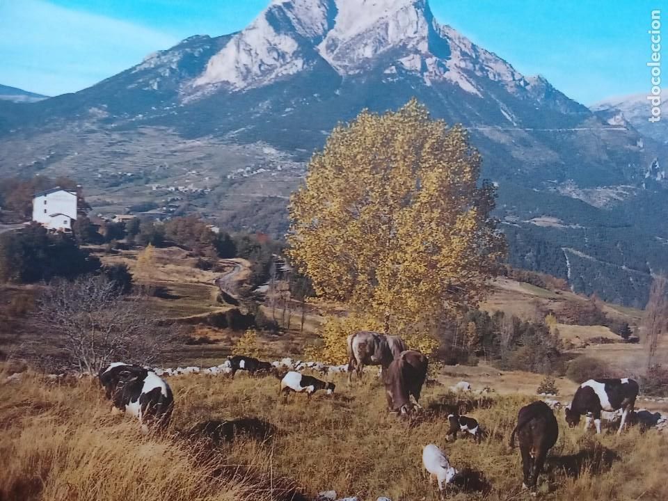 Postales: Saldes.Bergued&agrave;.Pedraforca. - Foto 2