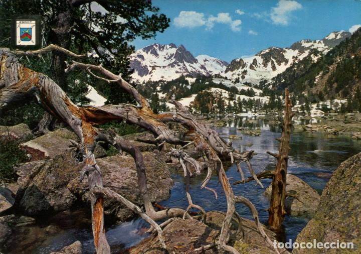 Postales: m03716 Vall D'espot Sant Maurici 1964 Escudo De Oro N&ordm;902