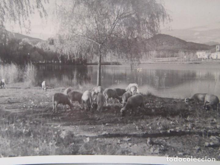 Postales: BA&Ntilde;OLAS - VISTA DEL LAGO - Foto 1