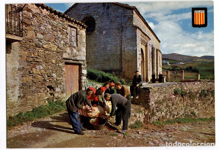 Cartes Postales: m04433 Mollo Matanza Del Puerco En Mollo 1967 Escudo De Oro N&ordm;26