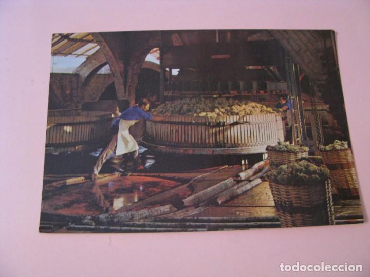 Postales: POSTAL DE CAVAS CODORNIU. 1971. - Foto 1