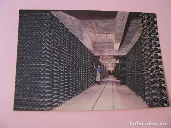 Postales: POSTAL DE CAVAS CODORNIU. 1976.