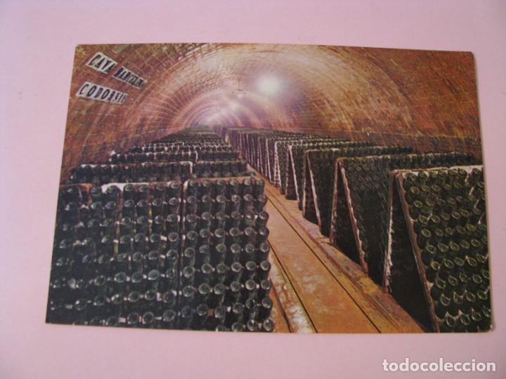 Postales: POSTAL DE CAVAS CODORNIU. 1976.