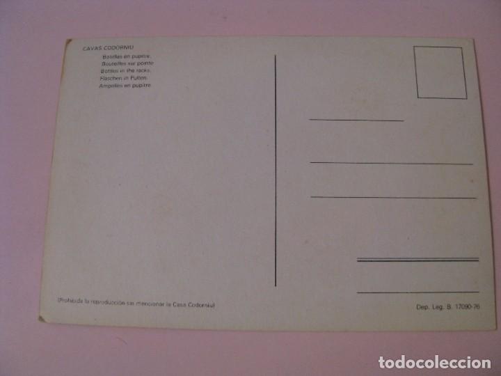 Postales: POSTAL DE CAVAS CODORNIU. 1976. - Foto 2