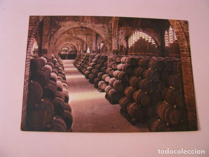 Postales: POSTAL DE CAVAS CODORNIU. 1976. - Foto 1