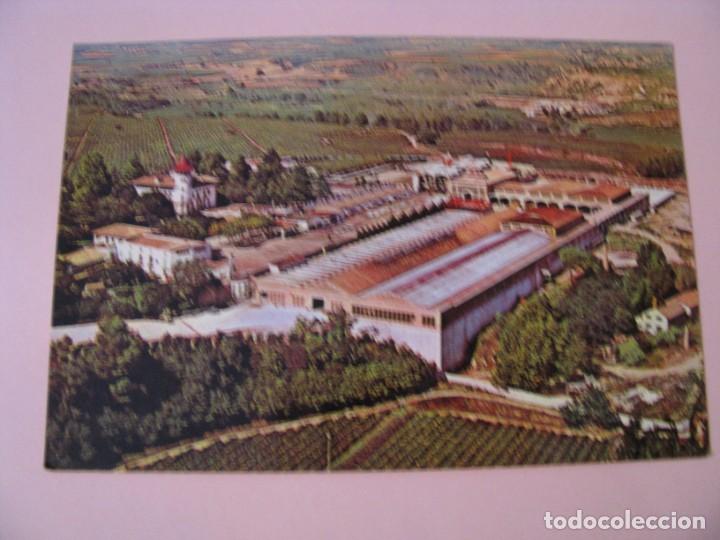 Postales: POSTAL DE CAVAS CODORNIU. 1976.