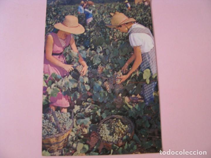 Postales: POSTAL DE CAVAS CODORNIU. 1976. - Foto 1