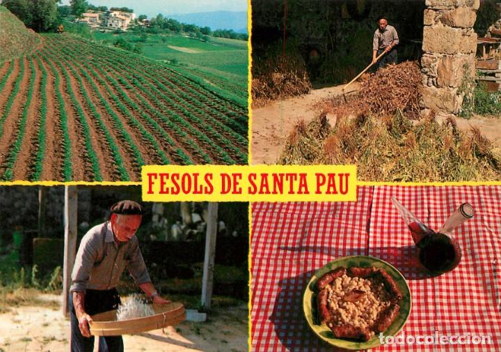Postcards: m05468 Santa Pau Fesols Ibarz N&ordm;18