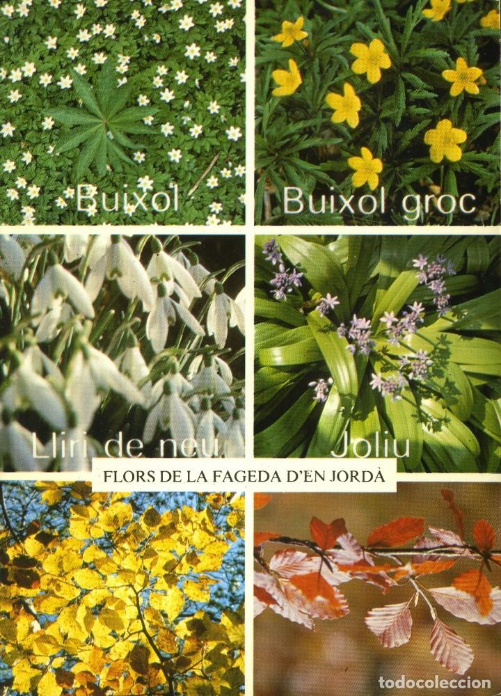 Cartoline: m05469 Santa Pau Flors De La Fageda D' En Jorda Picart