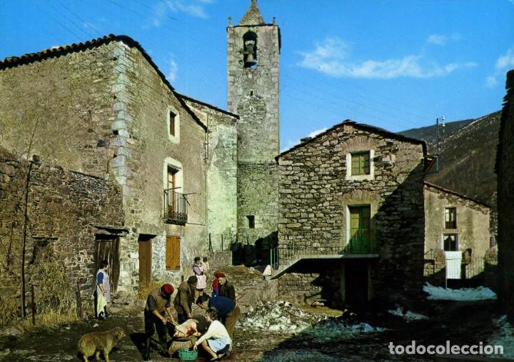 Postais: m06055 Setcases Matanza Del Cerdo 1971 Arribas N&ordm;8