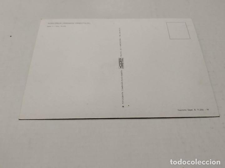 Postales: LA CERDANYA - POSTAL PUIGCERD&Agrave; - Foto 2
