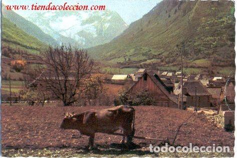 Postales: Valle de Ar&aacute;n.- Arti&eacute;s y el Montario