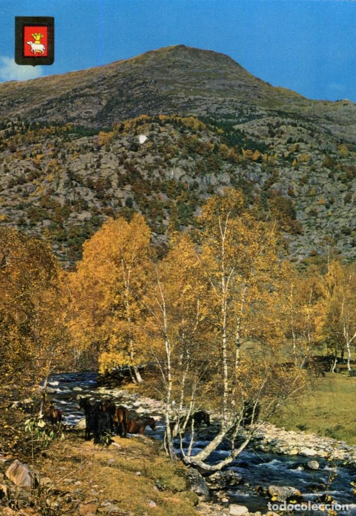Postais: m06412 Vall Farrera Paisaje 1970 Escudo De Oro N&ordm;5161