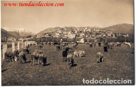 Postales: PUIGCERDA. Vista general. Edita: Prat.