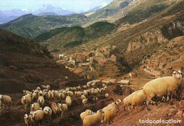 Postais: m06825 Castellar De N' Hug Vista General Armengou N&ordm;8 sc