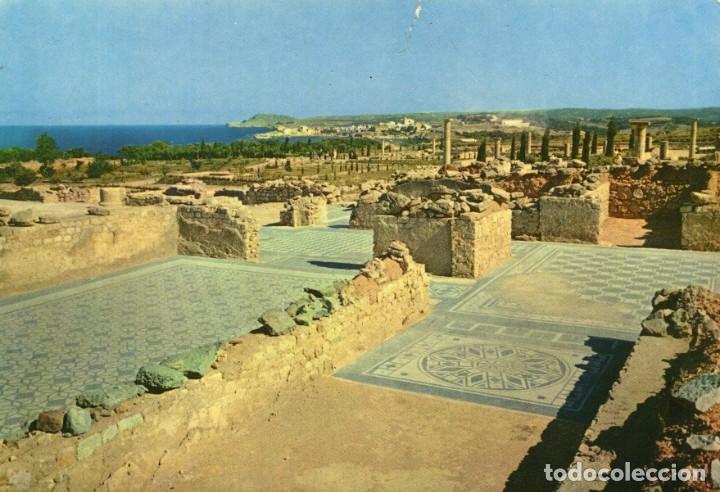 Cartes Postales: m06924 Empuries Mosaicos Romanos 1961 Campa&ntilde;a N&ordm;2129