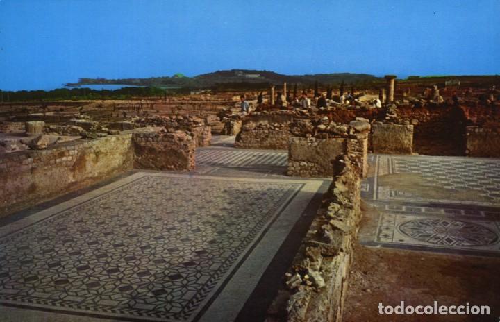 Cartes Postales: m06925 Empuries Mosaicos Romanos 1958 Campa&ntilde;a N&ordm;2542