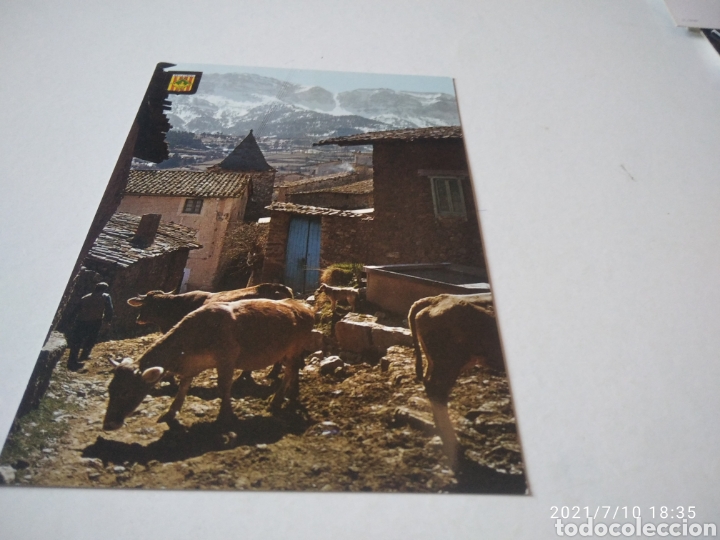 Postales: Postal Quer Foradat vacas - Foto 1