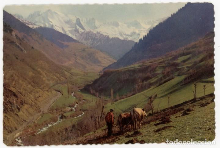 Postales: m06444 vall d' aran ribera del rio negro garrabella n&ordm;5018