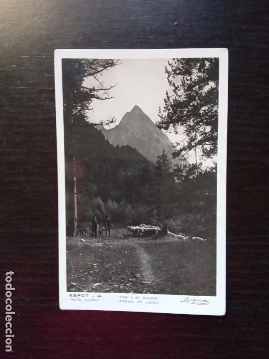 Postales: Cam&iacute; de Sant Maurici.Pirineu de Lleida.