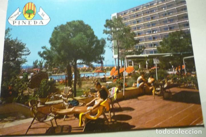 Postales: postal pineda de mar.-hotel taurus piscina y jardines circulada