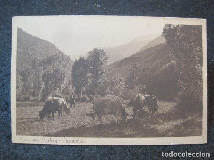 Cartes Postales: VALL DE RIBES-FOTOGRAFICA-POSTAL ANTIGUA-(83.501)