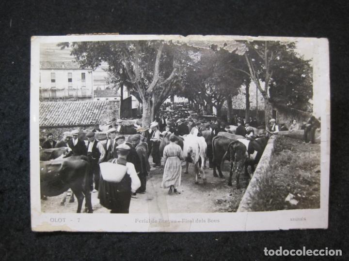 Postales: OLOT-FERIAL DE BUEYES-ARQUES FOTOGRAFICA-POSTAL ANTIGUA-(83.514)