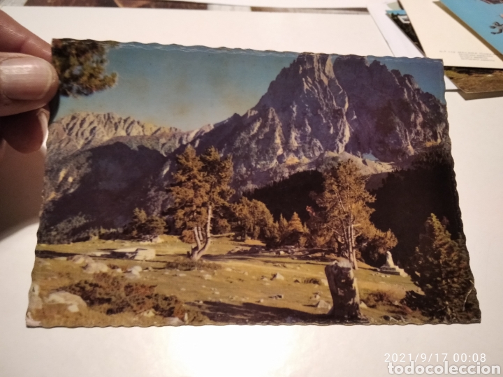 Postales: Postal El Pallars parque San Mauricio