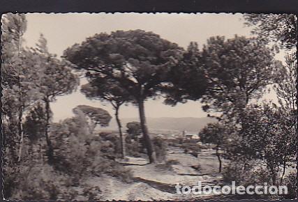 Postales: POSTAL CARDEDEU VISTA PANORAMICA