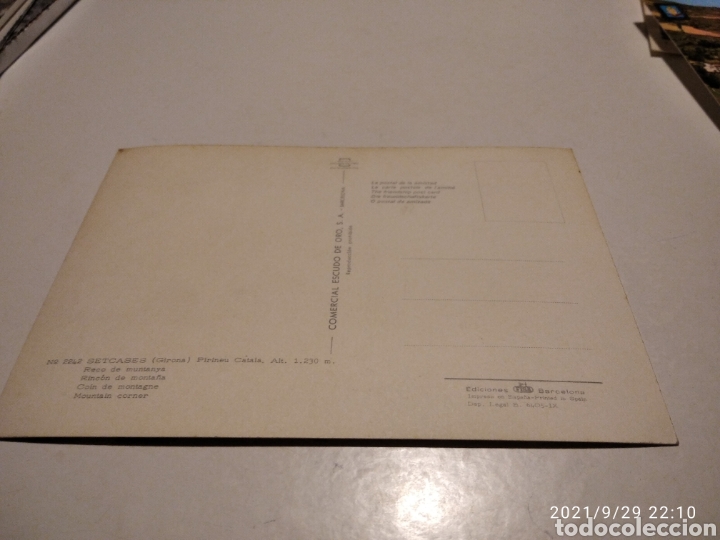 Postales: Postal SETCASES vacas abrevadero - Foto 2