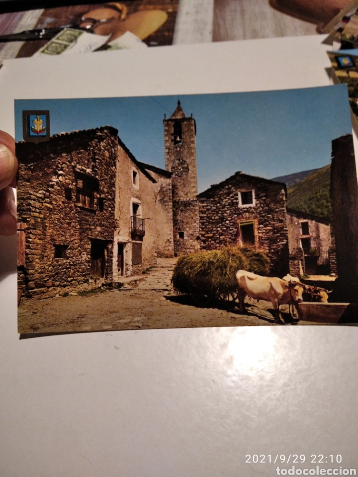 Postales: Postal SETCASES vacas abrevadero - Foto 1