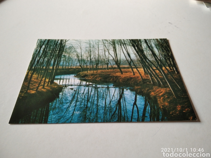 Postales: Postal Olot la Garrotxa riu - Foto 1