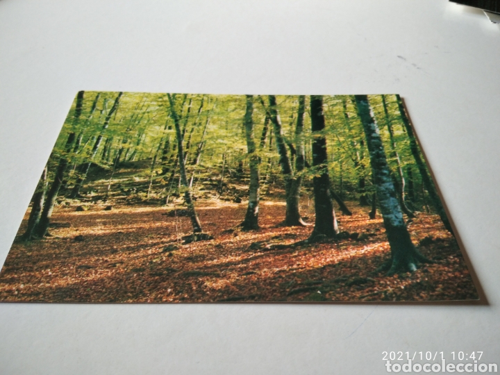 Postales: Postal Olot la Garrotxa - Foto 1
