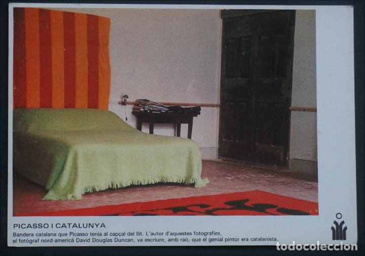 Postales: Postal de Ommium Cultural , Picasso i Catalunya, sin circular del a&ntilde;o 1981