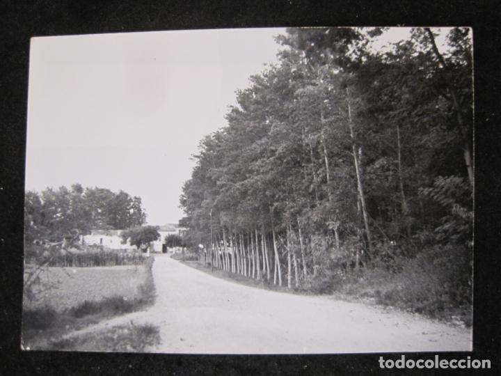 Postkarten: RIUDARENAS-POSTAL ANTIGUA-(84.746)