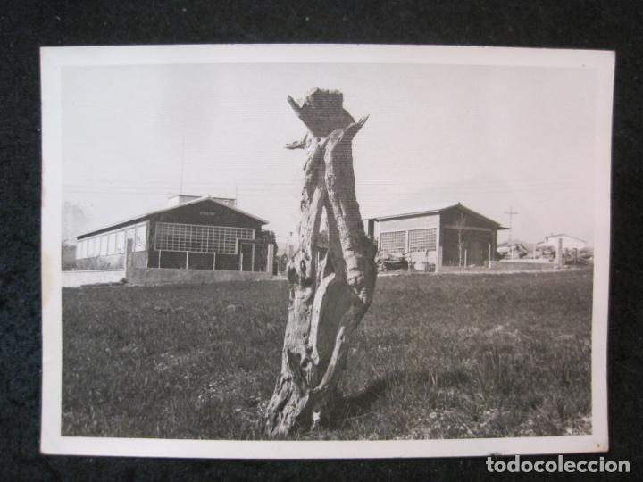 Postais: TORTELLA-COLECCION VISTAS PARCIALES DE TORTELLA-POSTAL ANTIGUA-(84.882)